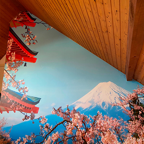 portfolio pièces_à_vivre